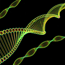 DNA Spiral DNA's Double Helix