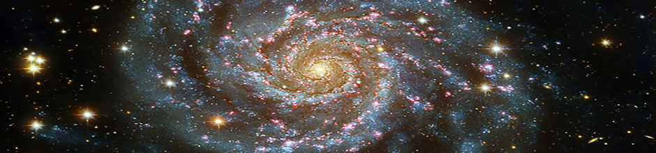 Yin/Yang Yin/Yang the Origin of Matter