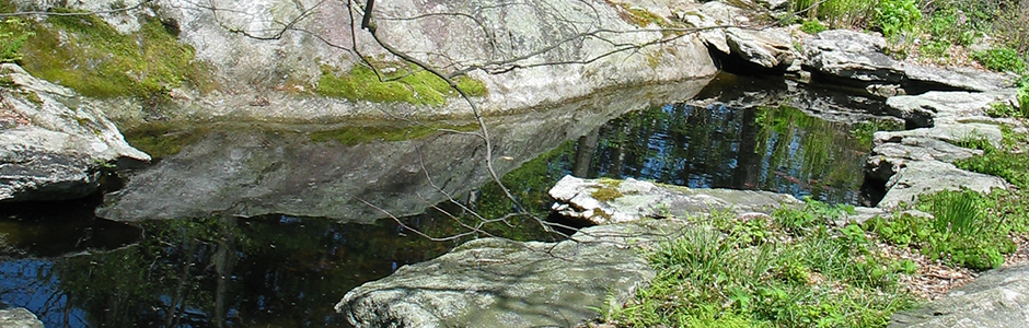 Taijiquan fits closely with nature