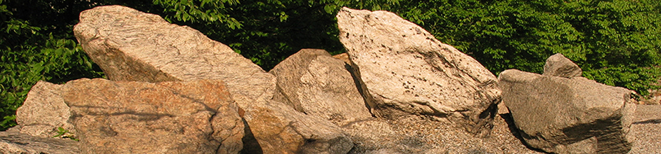 Taijiquan fits closely with nature