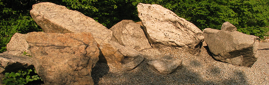 Taijiquan Standing