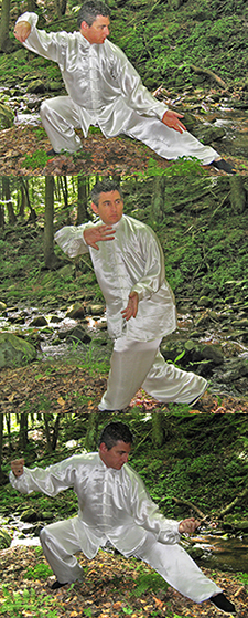 Taijiquan Pics